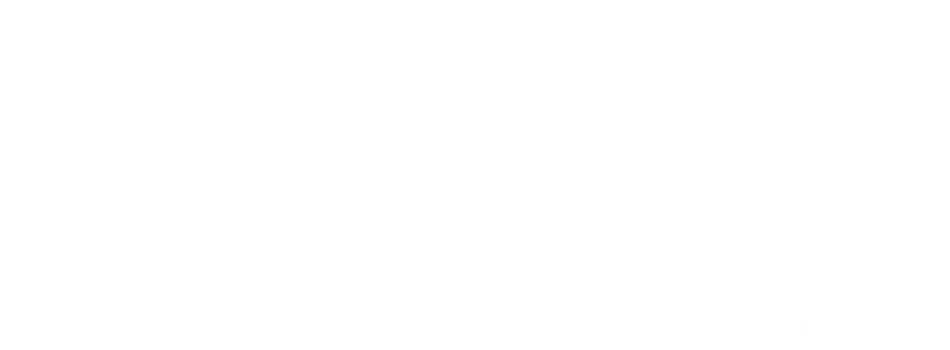 Anıl Şehirlioğlu
